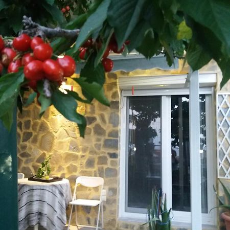 Garden'S House Apartment Кавала Екстериор снимка