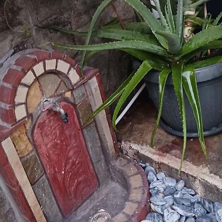 Garden'S House Apartment Кавала Екстериор снимка