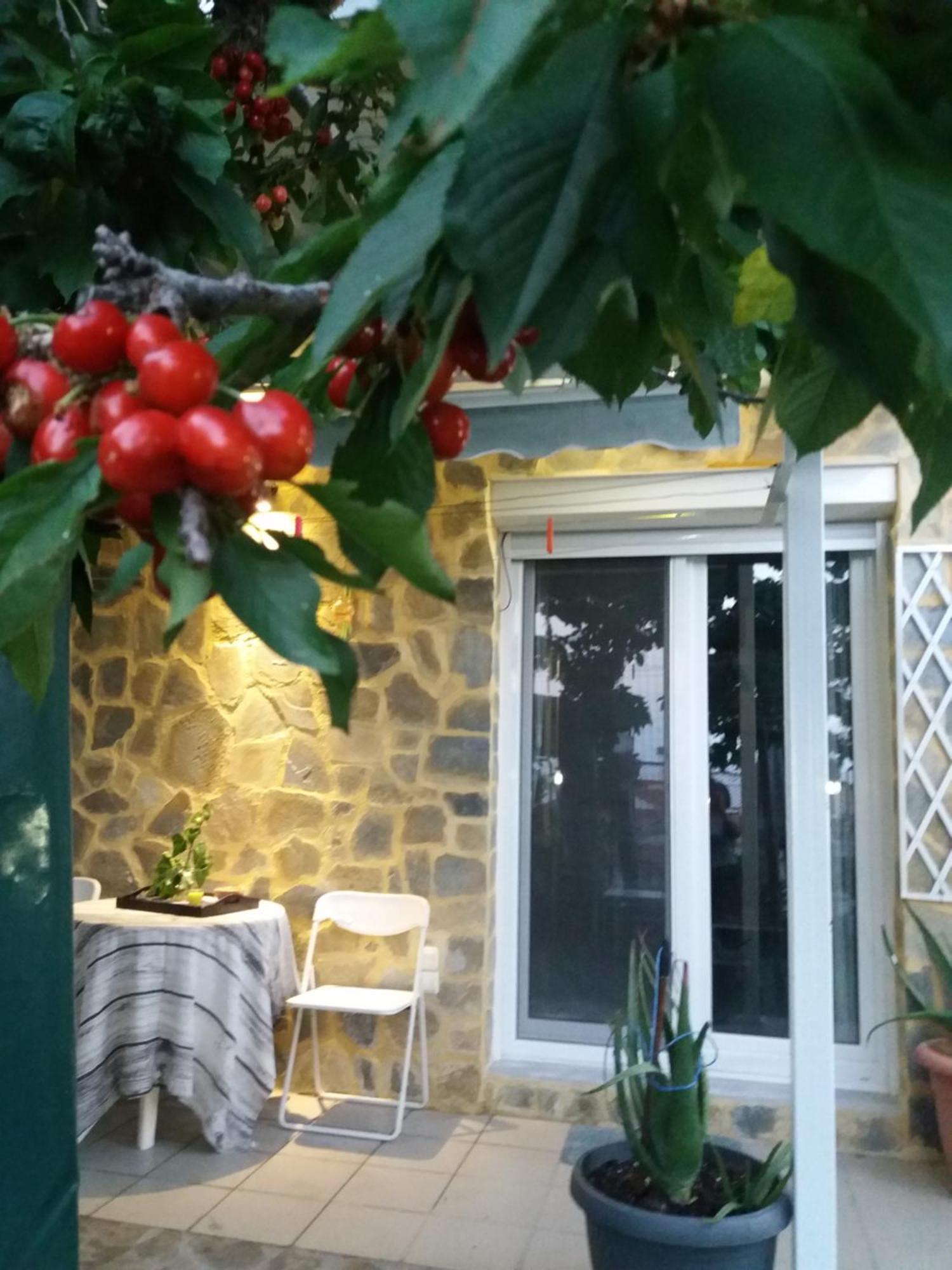 Garden'S House Apartment Кавала Екстериор снимка